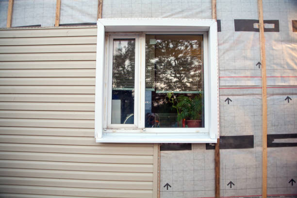 Best Storm Damage Siding Repair  in Cape May, NJ
