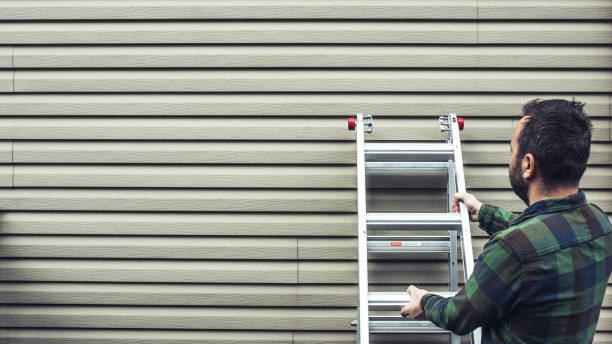 Best Stone Veneer Siding  in Cape May, NJ