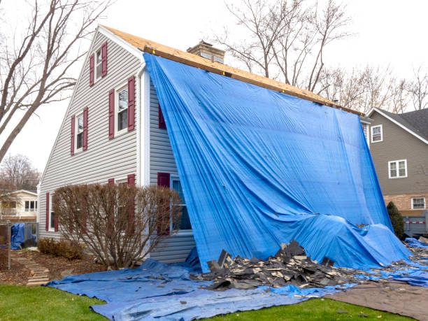 Best Custom Trim and Detailing for Siding  in Cape May, NJ