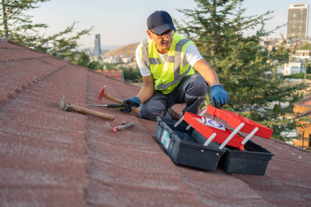 Best Historical Building Siding Restoration  in Cape May, NJ