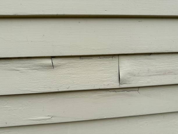 Best Wood Siding Installation  in Cape May, NJ