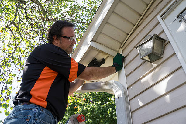 Best Steel Siding Installation  in Cape May, NJ